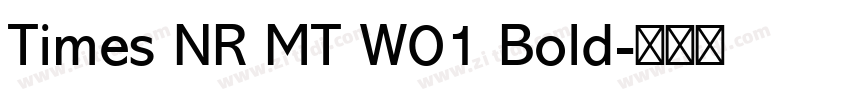Times NR MT W01 Bold字体转换